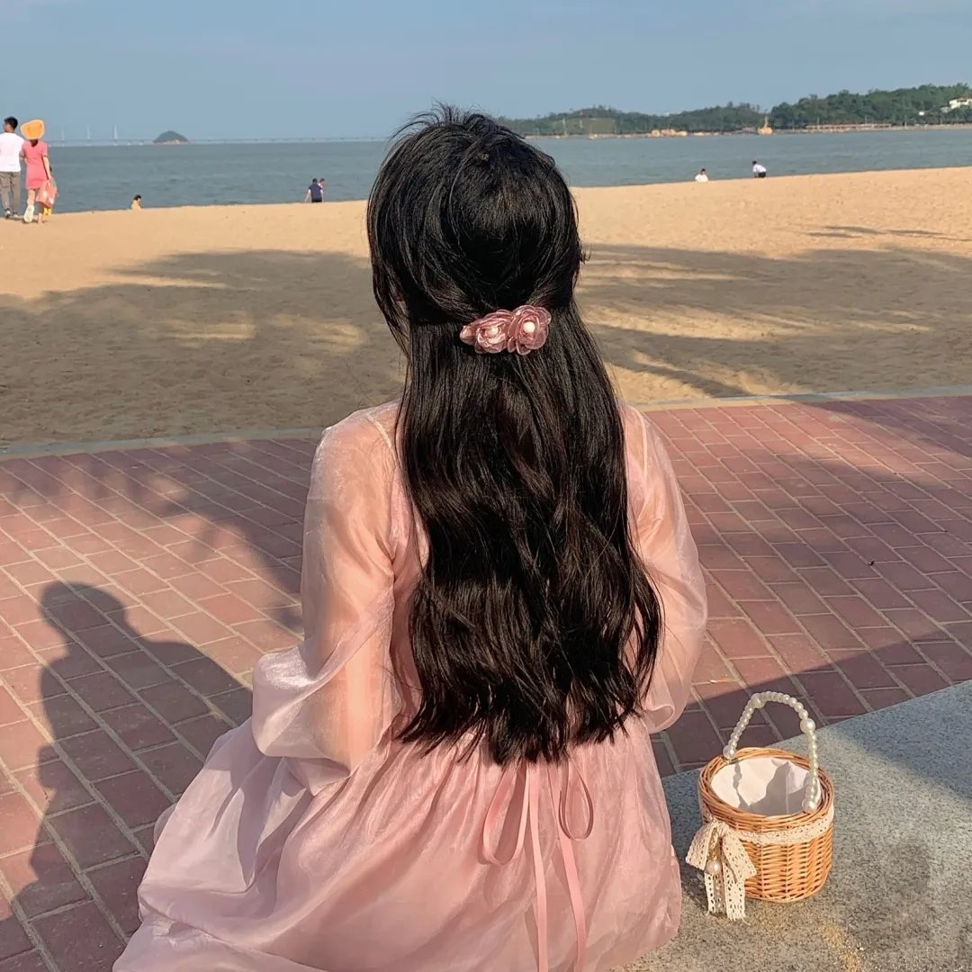 兰闺飞凤 海报
